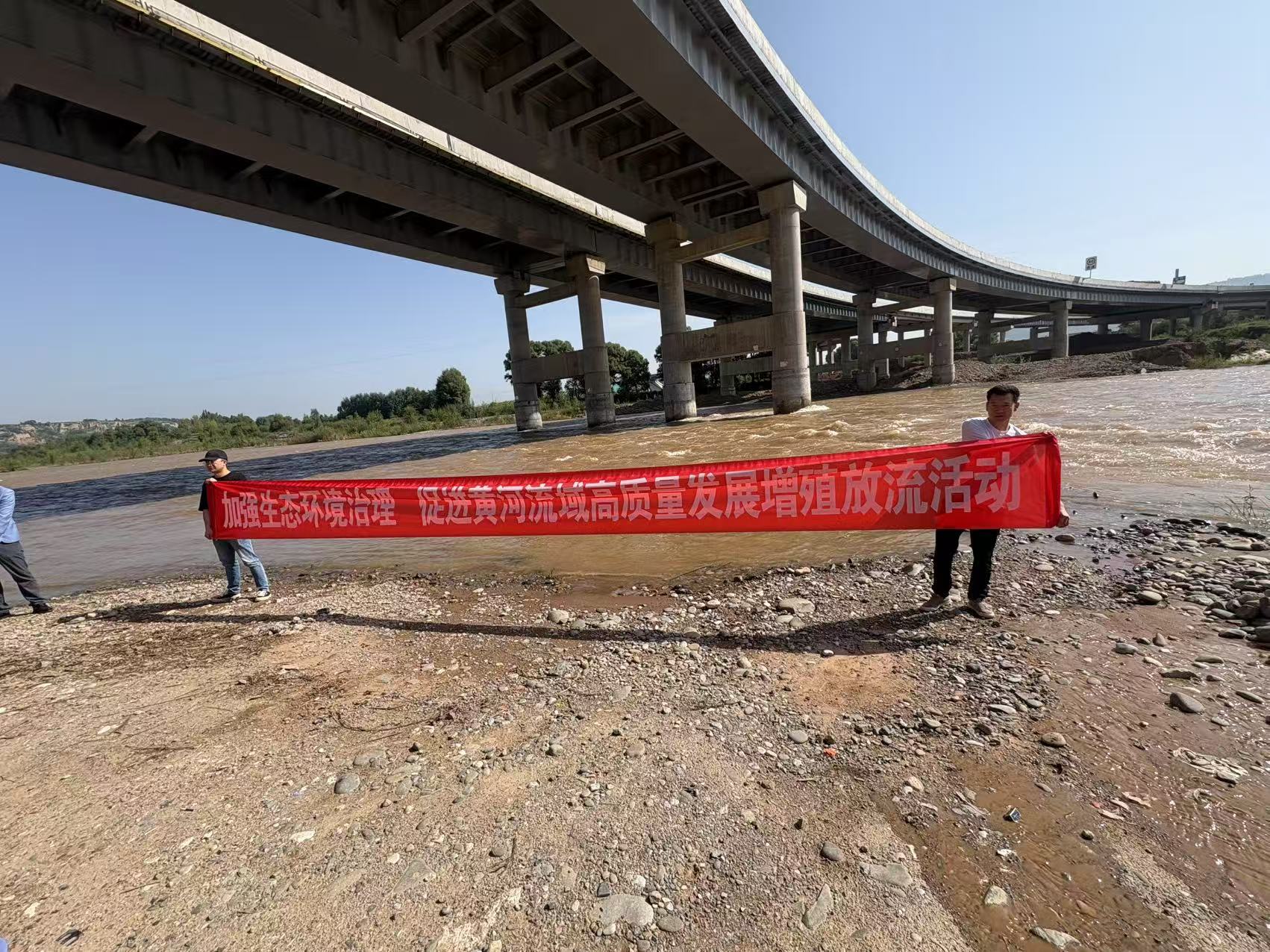 4ba4621c893ed51ecd58a3683697defc(1)(1).jpg 4ba4621c893ed51ecd58a3683697defc(1)(1).jpg